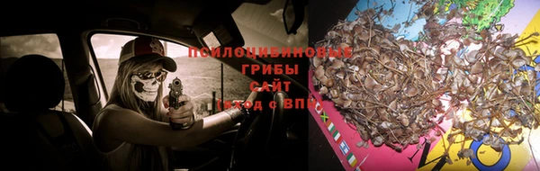 амф Заволжск
