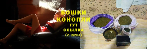 шишки Сатка